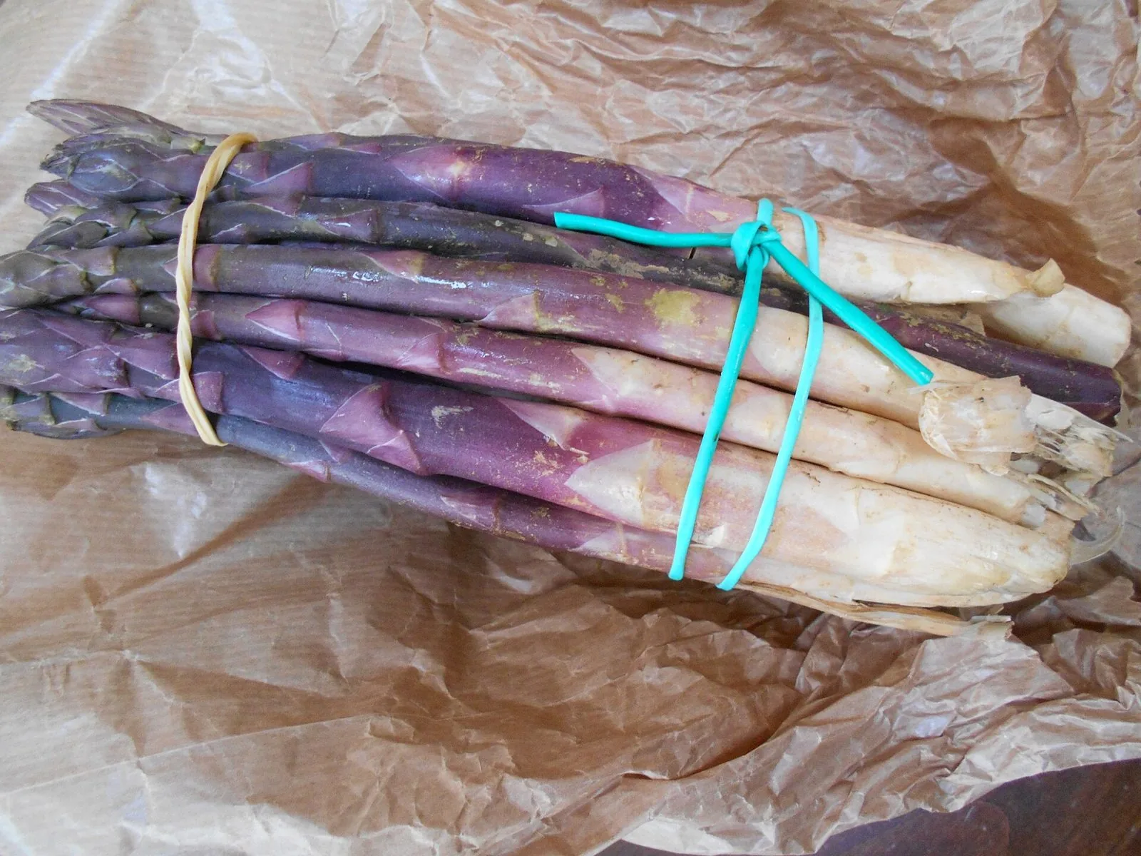 Mazzo di asparagi violetti di Albenga legato con un elastico, su carta da pane