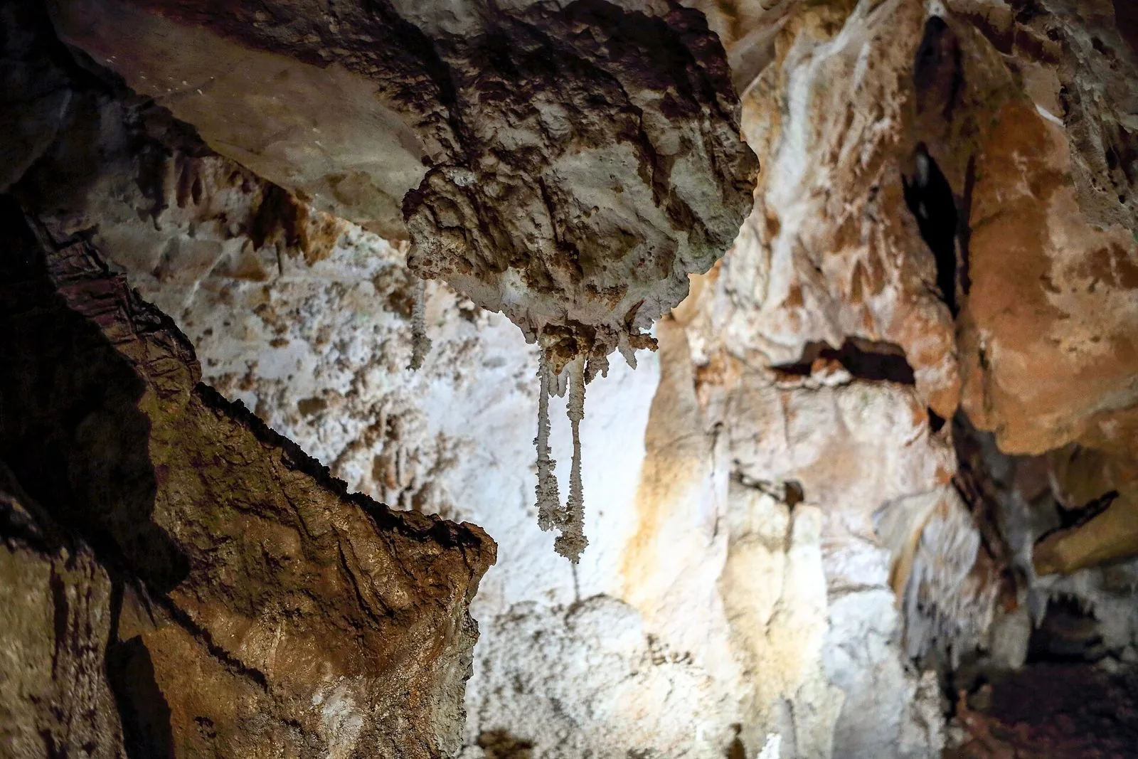 Stalattiti e concrezioni calcaree illuminate all'interno delle Grotte di Toirano